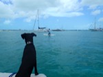 resIMG_20180630_125058_P6300623.JPG